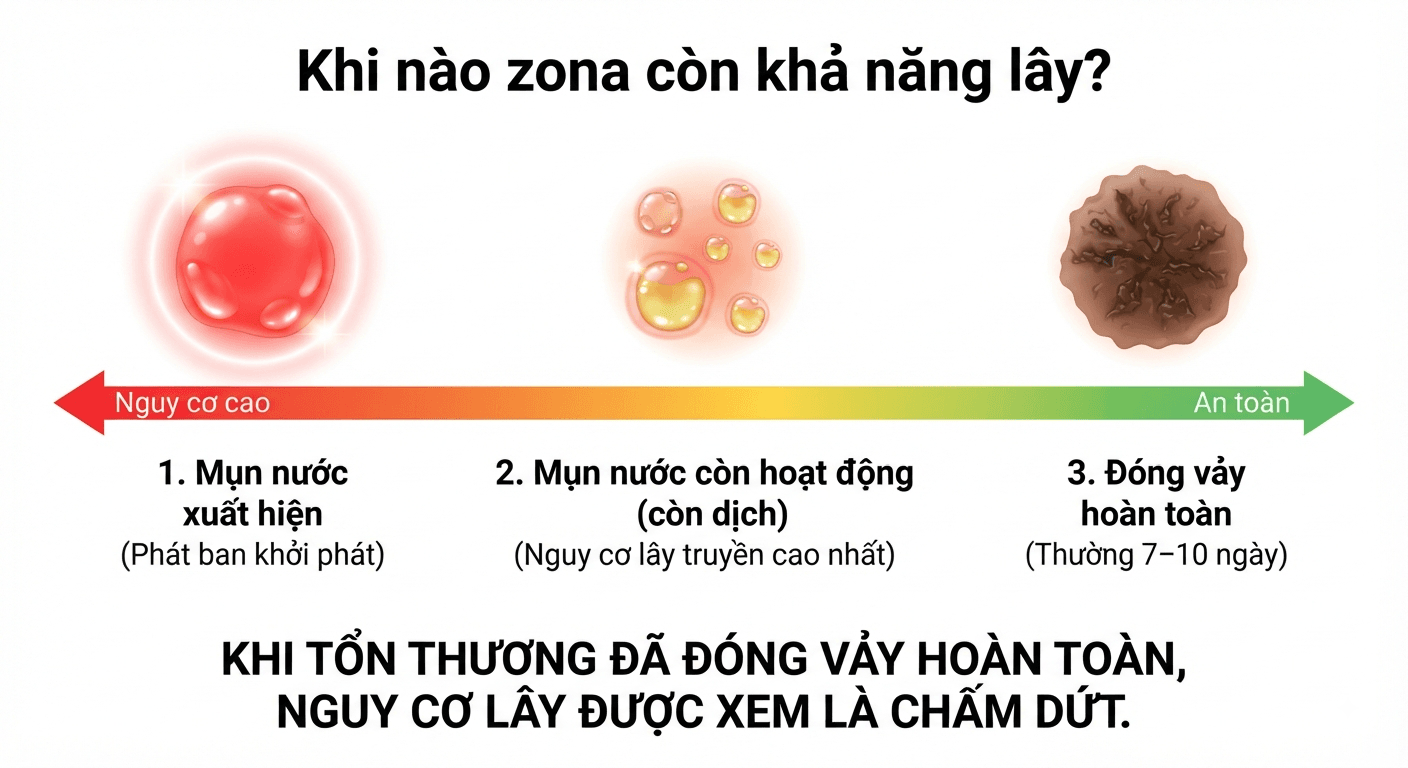 Khi nào zona còn khả năng lây?