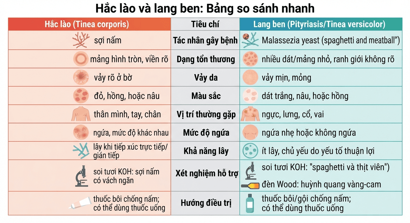 Bảng infographic so sánh triệu chứng, vị trí và cách điều trị hắc lào với lang ben.