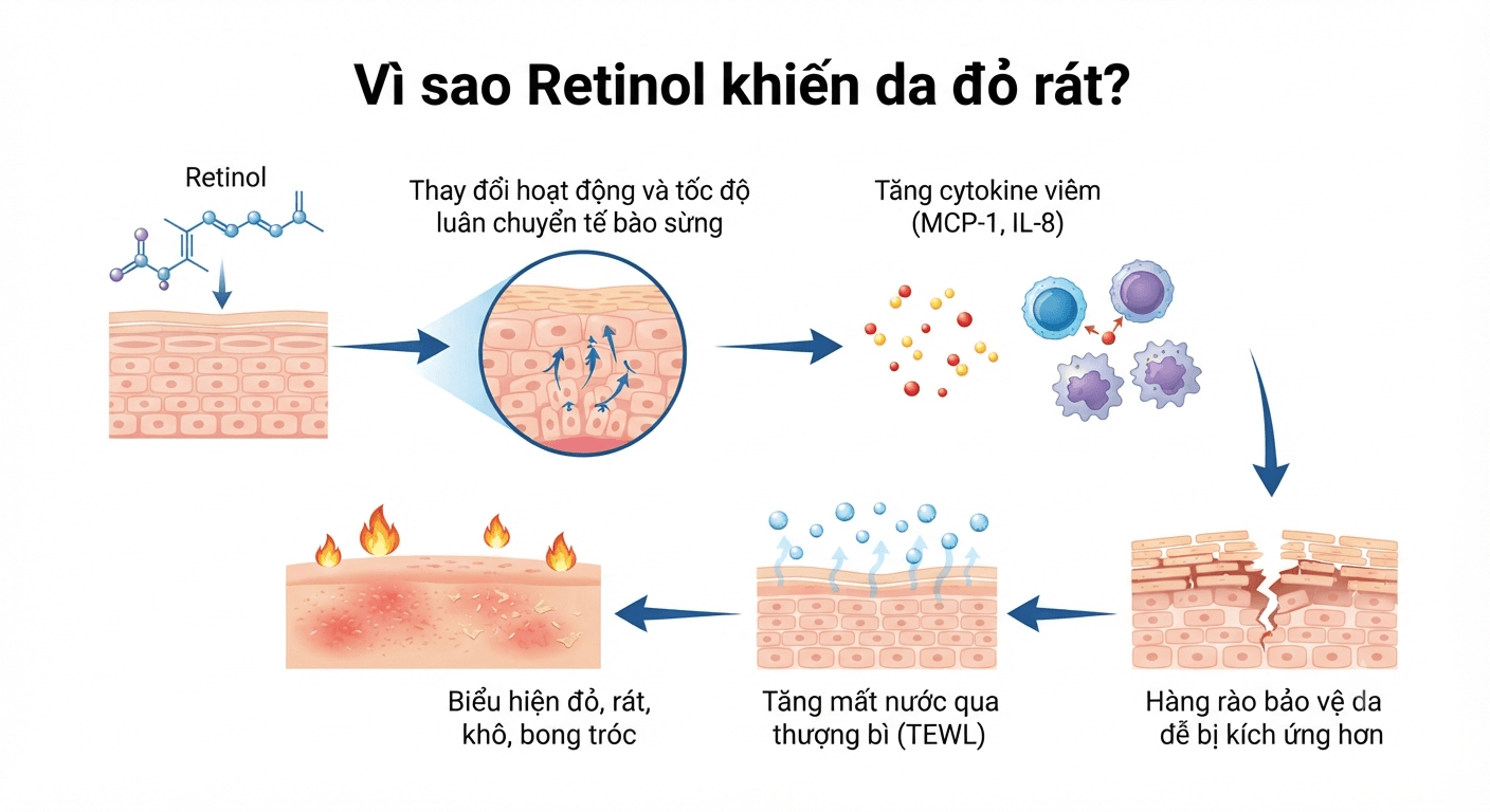 Vì sao Retinol khiến da đỏ rát?