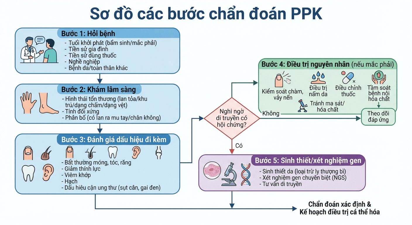 Lưu đồ các bước chẩn đoán dày sừng lòng bàn tay bàn chân từ hỏi bệnh đến xét nghiệm gen