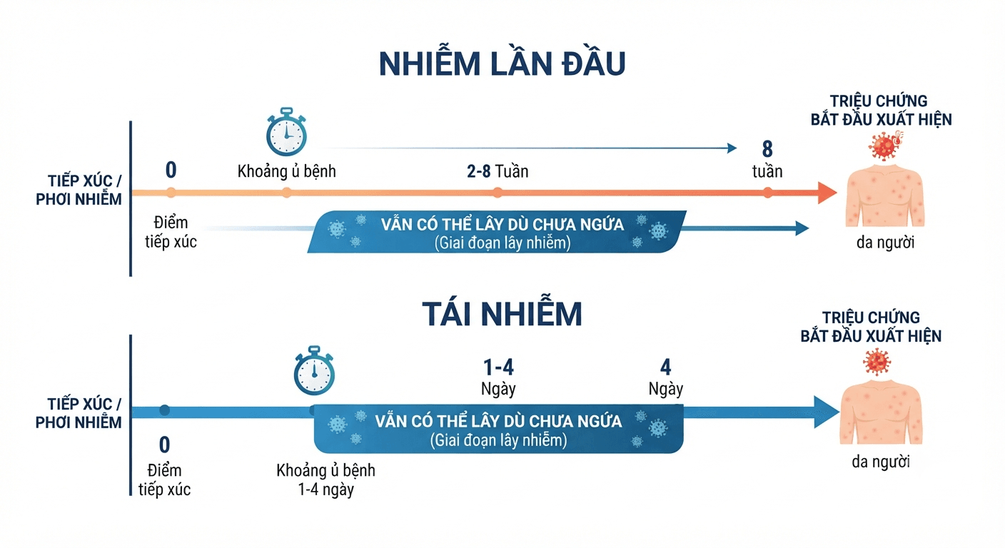 Timeline từ phơi nhiễm đến xuất hiện triệu chứng
